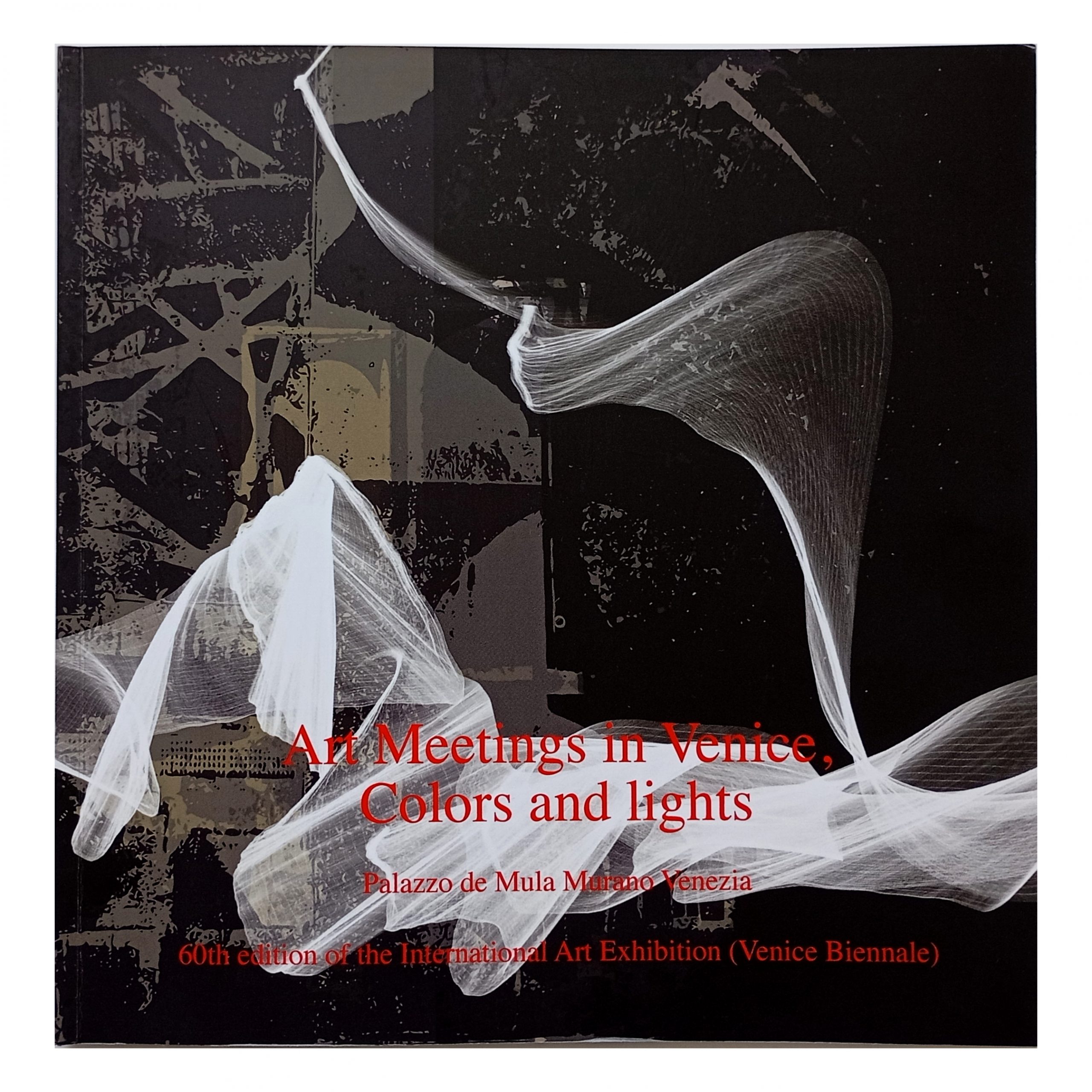 Venice Prize 2024: Art Meetings in Venice, Colors and Light, Venice, Italy